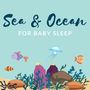 Sea & Ocean for Baby Sleep: Relaxing Sea Sounds at Night