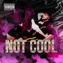 Not Cool (Explicit)