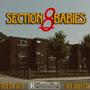 Section 8 Babies (feat. Sosa Don Julio) [Explicit]