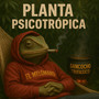 Planta Psicotrópica (Explicit)