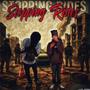 Stoppin Rides (feat. Babyg & Luhplankk) [Explicit]