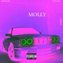 Molly (feat. Yung ND) [Explicit]