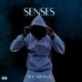 Senses (Explicit)