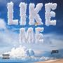 Like Me (Explicit)