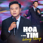 Hoa Tím Bằng Lăng