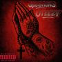 QUESTIONS (Explicit)