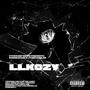 LLKOZY (feat. JTONYAMELON) [Explicit]