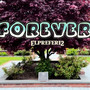 Forever (Explicit)