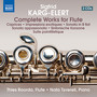 Karg-elert, S.: Flute Works (Complete) [Roorda, Tsvereli]