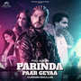 Parinda Paar Geyaa (Original Motion Picture Soundtrack)