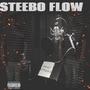 SteeBo Flow (Explicit)