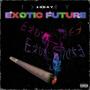 Exotic Future (Explicit)