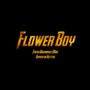 Flower Boy (Explicit)