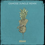 Osmose Jungle (Remix)