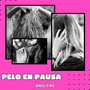 Pelo en Pausa