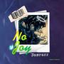 No Joy (Explicit)