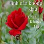 Tình nào không đau