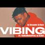 VIBING (feat. TheRealNelle) [Explicit]