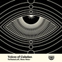 Voices of Caladan (Lautaro Ibañez Remix)