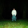 VIVO (Explicit)