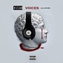 Voices (feat. Metro Boomin) - Single [Explicit]