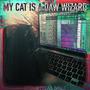 My Cat Is A DAW Wizard