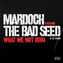 What We Not Doin (Explicit)