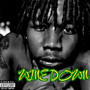 WINE DOWN (Explicit)