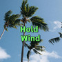 Hold Wind