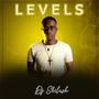 Levels (Radio Edit)