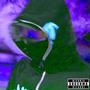 JDTLP (Explicit)