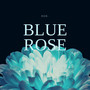 Blue Rose