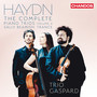 Haydn: The Complete Piano Trios, Vol. 4