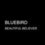 Beautiful Believer - Single