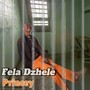 Fela Dzhele