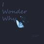 I Wonder Why (Explicit)