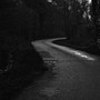 Dark Road