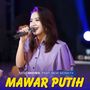 MAWAR PUTIH