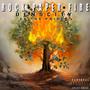 Rock Paper Fire (Explicit)