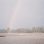 a rainbow arches over flamingos wading in a lagoon