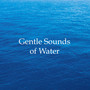 Gentle Sounds of Water - 20 Most Soothing Rain and Water Sounds & Melodies for Relaxation, Deep Sleep, Stress-Free Anxiety Relief, Better Mental Health and Lifestyle Success