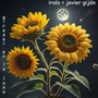 Girasol en la luna