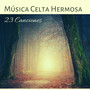 Música Celta Hermosa: 23 Canciones - Fondo de Música Irlandesa Relajante Instrumentos Tradicionales