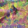 SUM DIFFERNT (I B LAZY MY BAD P) [Explicit]