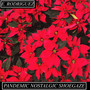 PANDEMIC NOSTALGIC SHOEGAZE