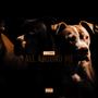 Dog's All Around Me (Explicit)