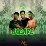 Jacaré