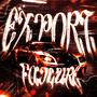 EXPORT FAILURE (Explicit)