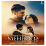 Tu Mera Mehboob Hai