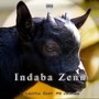 Indaba Zenu (Explicit)